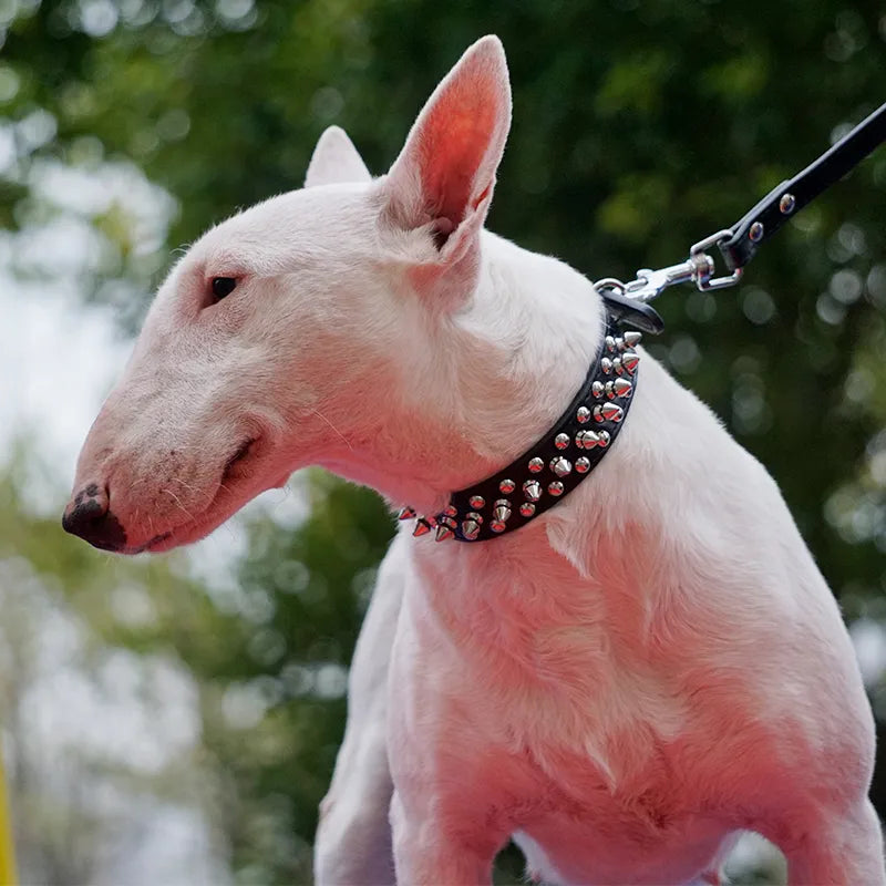 Spiked Studded Pet Dog Collar