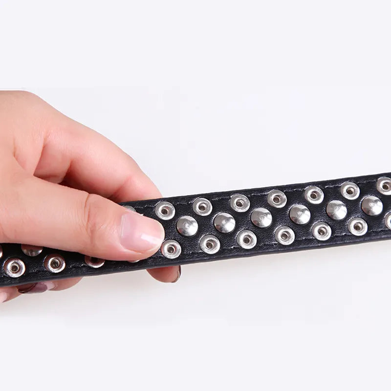 Spiked Studded Pet Dog Collar