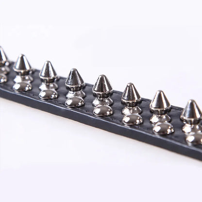 Spiked Studded Pet Dog Collar