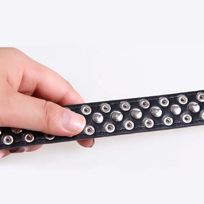 Spiked Studded Pet Dog Collar