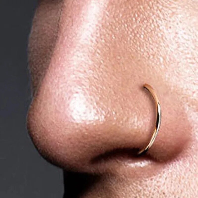 Nose Rings D Shape Nose Hoop